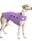 Whippet Tummy Warmer
