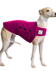 Whippet Tummy Warmer