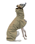 Whippet Raincoat