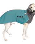 Whippet Winter Coat
