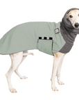 Whippet Winter Coat