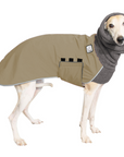 Whippet Winter Coat