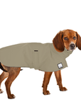 Beagle Raincoat