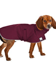 Beagle Raincoat
