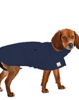 Beagle Raincoat
