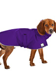 ReCoat ♻️ Like New: Beagle Raincoat