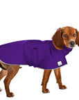 ReCoat ♻️ Beagle Raincoat