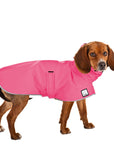 ReCoat ♻️ Like New: Beagle Raincoat