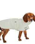 ReCoat ♻️ Like New: Beagle Raincoat