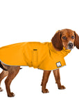 Beagle Rain Coat (Yellow) - Voyagers K9 Apparel