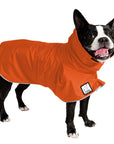 Boston Terrier Raincoat