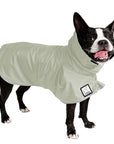 Boston Terrier Raincoat