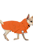 Chihuahua Rain Coat (Special Order Orange) - Voyagers K9 Apparel