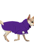 Chihuahua Raincoat
