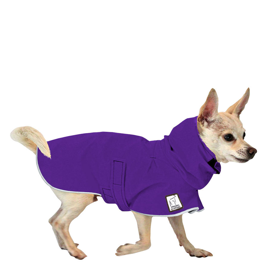 Chihuahua Raincoat