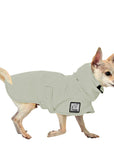 Chihuahua Raincoat