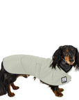 Dachshund Raincoat