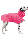 Dalmatian Raincoat