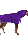 Doberman Pinscher Raincoat