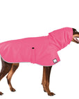 Doberman Pinscher Raincoat