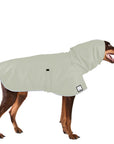 Doberman Pinscher Raincoat
