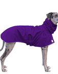 Great Dane Raincoat