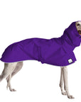 Greyhound Raincoat