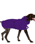 German Shorthaired Pointer Raincoat