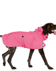 ReCoat ♻️ Very Good: German Shorthaired Pointer Raincoat