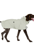 ReCoat ♻️ Very Good: German Shorthaired Pointer Raincoat