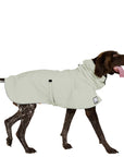 ReCoat ♻️ German Shorthaired Pointer Raincoat