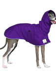 Italian Greyhound Raincoat