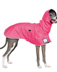 Italian Greyhound Raincoat