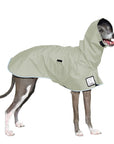 Italian Greyhound Raincoat