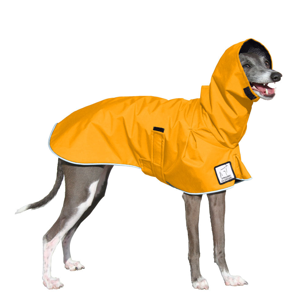 Italian greyhound apparel best sale