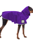 ReCoat ♻️ Like New: Miniature Pinscher Raincoat
