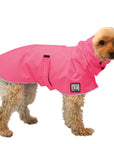 Miniature Poodle Raincoat