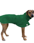 Rhodesian Ridgeback Raincoat