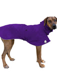 Rhodesian Ridgeback Raincoat
