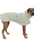 ReCoat ♻️ Like New: Rhodesian Ridgeback Raincoat