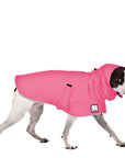 Rat Terrier Raincoat