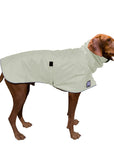 ReCoat ♻️ Vizsla Raincoat