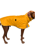 Vizsla Rain Coat (Yellow)- Voyagers K9 Apparel