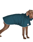 Weimaraner Rain Coat (Dark Teal) - Voyagers K9 Apparel