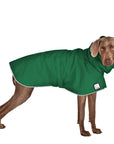 ReCoat ♻️ Like New: Weimaraner Raincoat