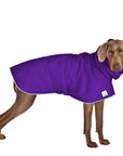 ReCoat ♻️ Like New: Weimaraner Raincoat