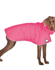 ReCoat ♻️ Like New: Weimaraner Raincoat