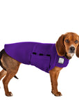 Beagle Tummy Warmer - Voyagers K9 Apparel