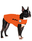Boston Terrier Tummy Warmer