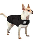 ReCoat ♻️ Like New: Chihuahua Tummy Warmer